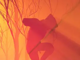 C4D森林中的人物动画创意场景工程 TRIPPIN' BAWLS