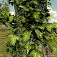 C4D常春藤种植插件 Ivy Grower 1.2