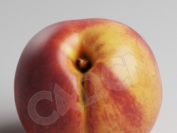 C4D一颗桃子模型 Peach
