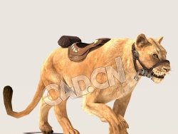 C4D狮子走路模型（包含骨骼绑定动画) lioness_Walk_F 3D Model