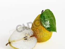新鲜的梨子水果带叶子露珠的梨切开的一半梨C4D模型 Pear