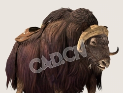 C4D麝牛行走闲逛模型（包含骨骼绑定动画) MuskCow_Idle 3D Model
