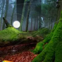 C4D遮罩绘景技术视频教程