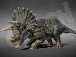 草食性恐龙三角龙C4D模型（含骨骼绑定） ceratophoridae