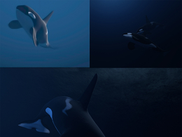 C4D卡通鲸鱼绑定动画模型 Whale