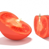一半西红杮C4D模型 tomato half