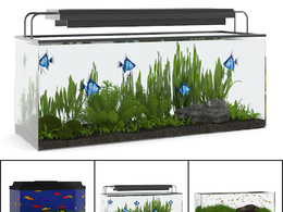 15个C4D鱼缸模型合集 Aquariums