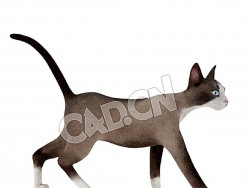 走路的雪鞋猫宠物猫C4D模型