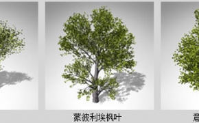 欧洲丘陵和平原植物3D模型 XfrogPlants – EUROPE 1