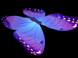 蝴蝶绑定模型 蝴蝶煽动翅膀C4D绑定动画模型 Rigged Butterfly Cinema 4d