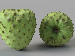 南美洲番荔枝 释迦C4D模型 Custard Apple