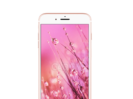 粉红色苹果手机iPhone Plusc4d模型下载