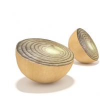 半块洋葱头3D模型 onion half