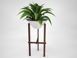 室内装饰植物C4D模型(17) Interior plants 3d model