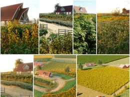 极致真实农业农场农作物三维模型资源包 全15种177个农作物玉米麦子大麦小麦花生荞麦水稻豆子等支持C4D/OBJ/3DS MAX高端渲染下载推荐