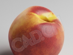 C4D油桃水果模型 Peach