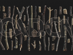 干枯的树木枝干树枝树皮C4D OCTANE模型合集