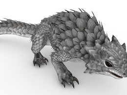 史前动物：鳞甲蜥蜴C4D模型（15套/含绑定动画）spiney Lizard 3d model