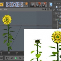 C4D植物生长插件 Xfrog 5.2 for C4D R12-R15 汉化版(WIN)