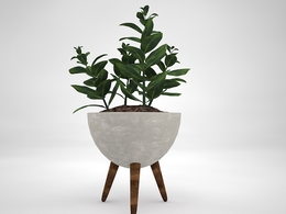 室内装饰植物C4D模型(18) Interior plants 3d model