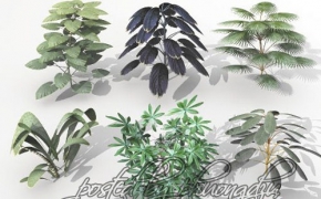 VUE梦幻植物3D模型合集 Dream Land Models 108 Plant set 1-3 for Vue – Vuegen