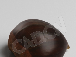 C4D坚果板栗模型 Chestnut