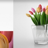 室内装饰花瓶：郁金香C4D模型 Tulip 3D model