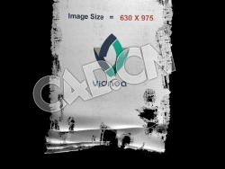 C4D破旧布料旗帜展开动画模型 flag
