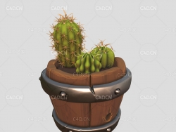 C4D仙人球盆栽植物模型 cacti