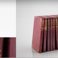 红皮旧书籍、图书、外文书籍C4D模型 Redskins Books 3D model