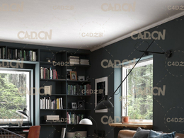 C4D室内渲染模型：客厅场景模型 CGTrader – BeInspiration 89 3D model