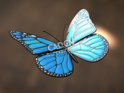 蝴蝶蓝帝王蝶C4D模型下载 Blue Monarch Butterfly