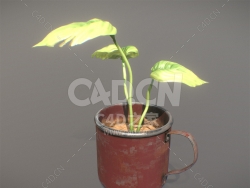 C4D种在茶缸里的三片叶子植物模型下载