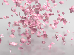 唯美樱花桃花花瓣飘落C4D模型 高品质粒子动画特效三维素材petal