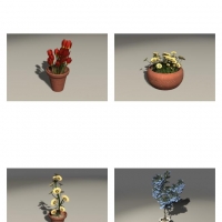 盆栽花卉C4D模型（郁金香、菊花、紫花）
