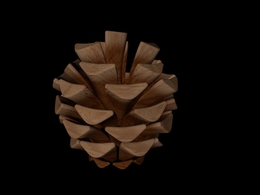 松果C4D模型 pinecone