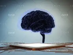AI智慧大脑数字大脑科技芯片大脑AI人脑科技C4D OCTANE工程