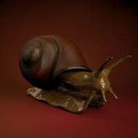 蜗牛C4D模型 Snail