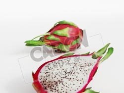 火龙果切开的水果一半火龙果C4D模型 pitaya