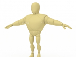 健壮的肌肉先生卡通三维人物3d立体小人C4D模型