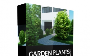 花园鲜花植物3D模型 CGAxis Models Volume 19 – Garden Plants