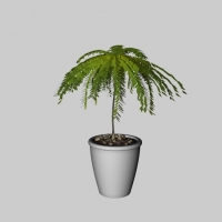 绿叶植物盆景C4D模型 Green plants