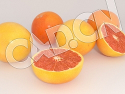 C4D柚子水果模型 Grapefruits 3d Model
