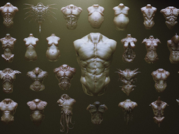 33个怪物怪兽身体三维模型 Artstation – TORSOS – 33 Character & Creature Zbrush Insertmesh Brush
