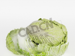 一棵大白菜剥开的白菜叶蔬菜C4D模型 Chinese Cabbage