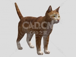 翘尾巴的小猫咪C4D动物模型cat