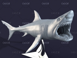 高精度白鲨雕塑雕刻模型 Cuberbrush - White Shark Statue
