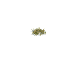 小野草植物杂草模型下载simple grass small v1