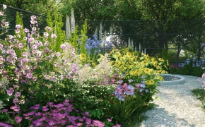 植物树木草地3D模型Plant Models (3DS max/FBX)