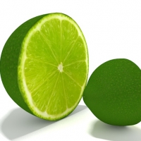 青柠檬3D模型 lime half 02